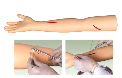 高級外科手臂縫合訓練模型
